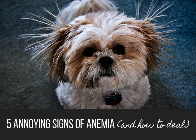5 Annoying Signs of Anemia (and How to Deal)