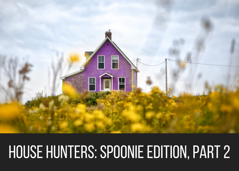 House Hunters: Spoonie Edition, Part 2