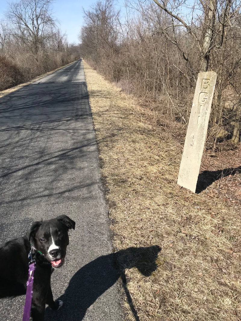 Harper near a mile marker on the Slippery Elm Trail